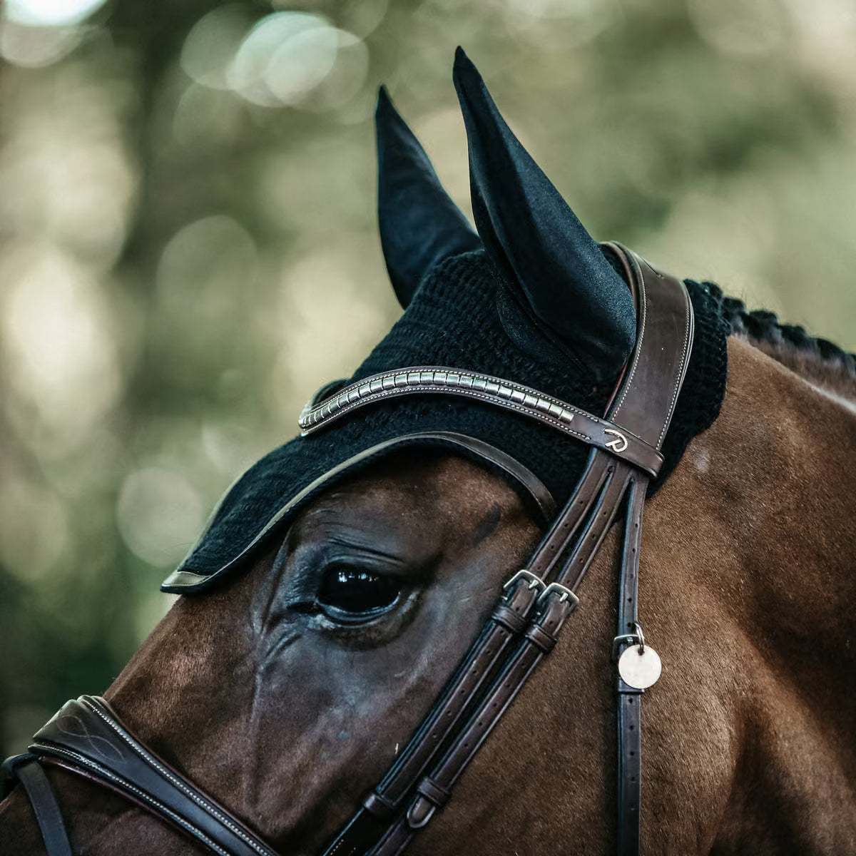 Cuffia Wellington Leather Kentucky