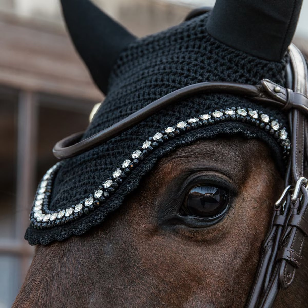 Cuffia Wellington Big Stone & Pearl Kentucky