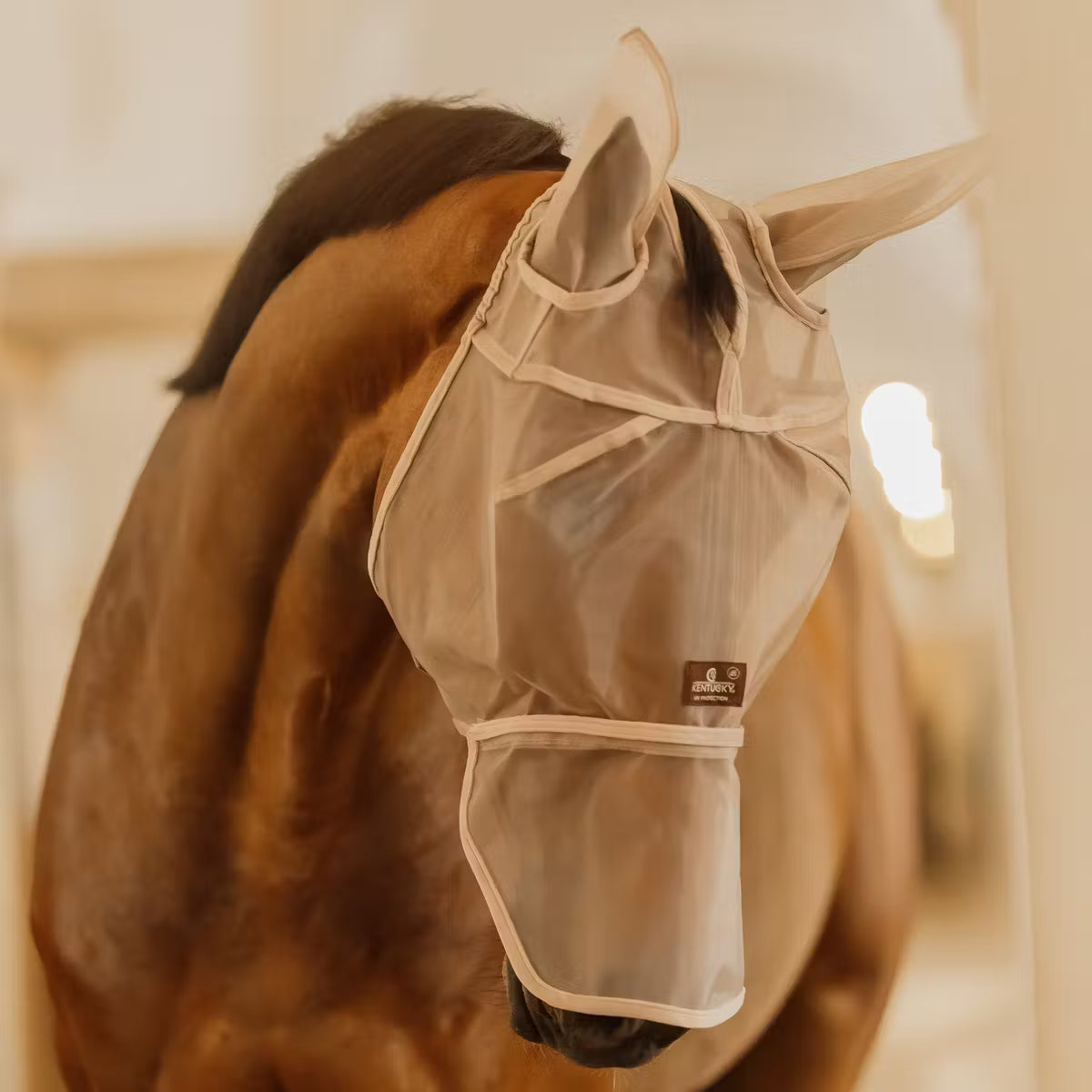 Maschera antimosche classica con orecchie e naso Kentucky