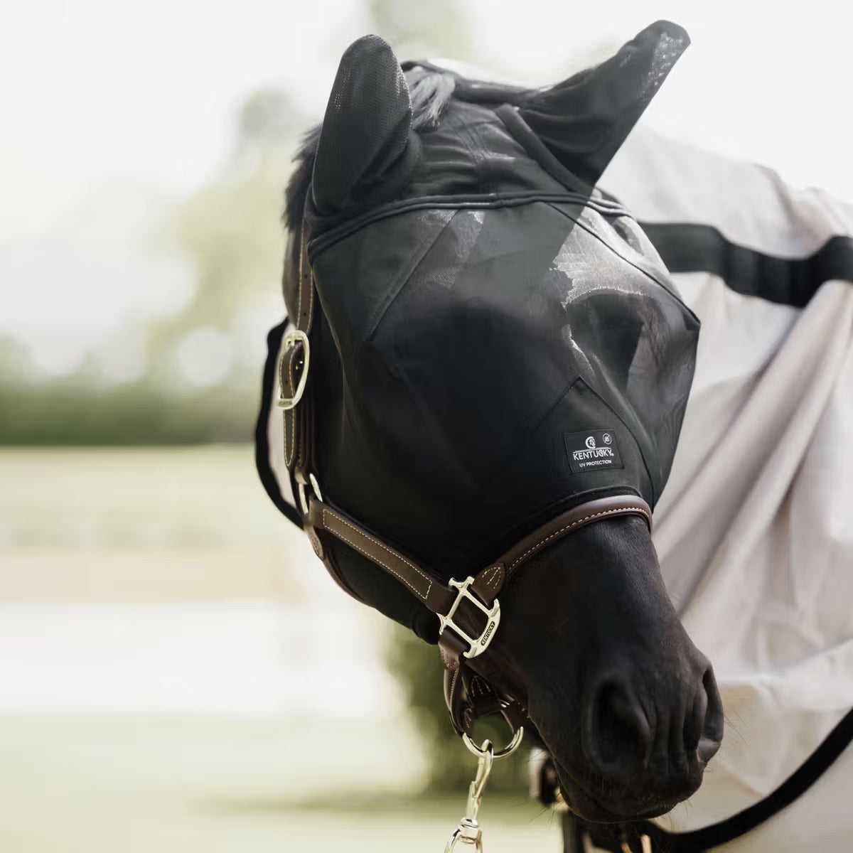 Maschera antimosche classic con orecchie Kentucky