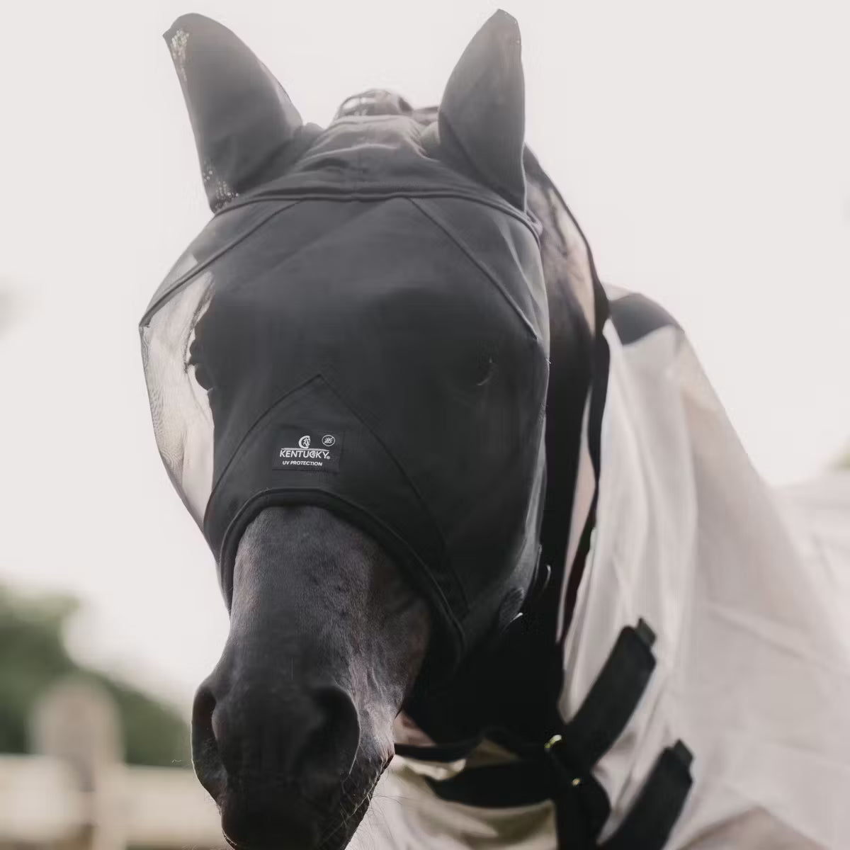 Maschera antimosche classic con orecchie Kentucky