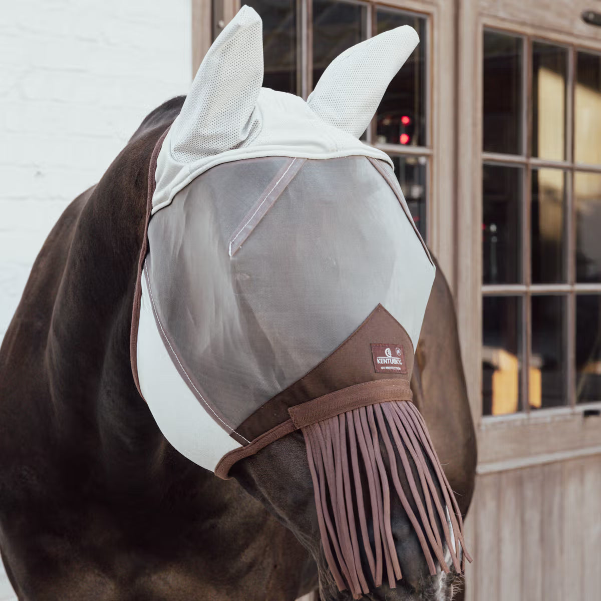 Maschera antimosche classica con orecchie e frange sul naso Kentucky