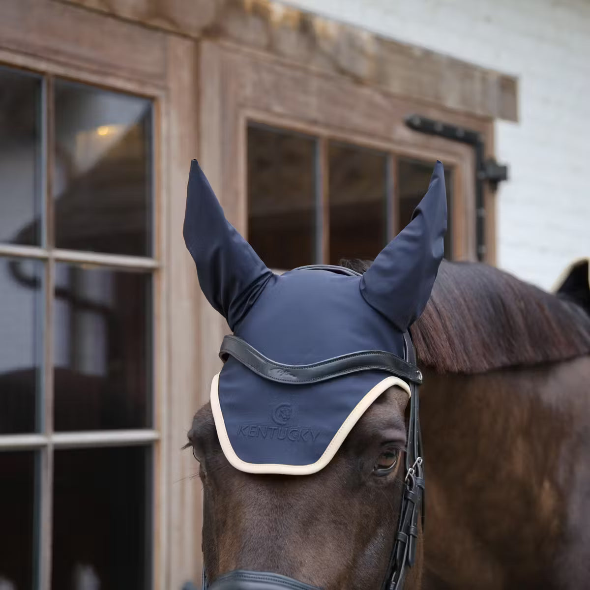 Cuffia Wellington Softshell Kentucky