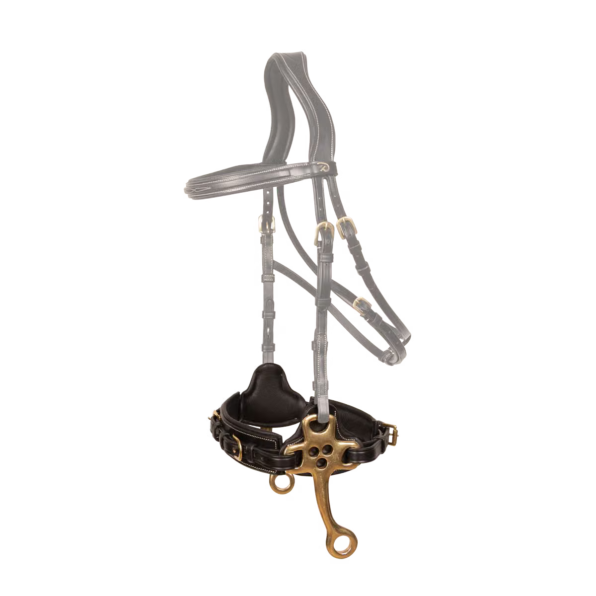 Hackamore Dy'On nero Full