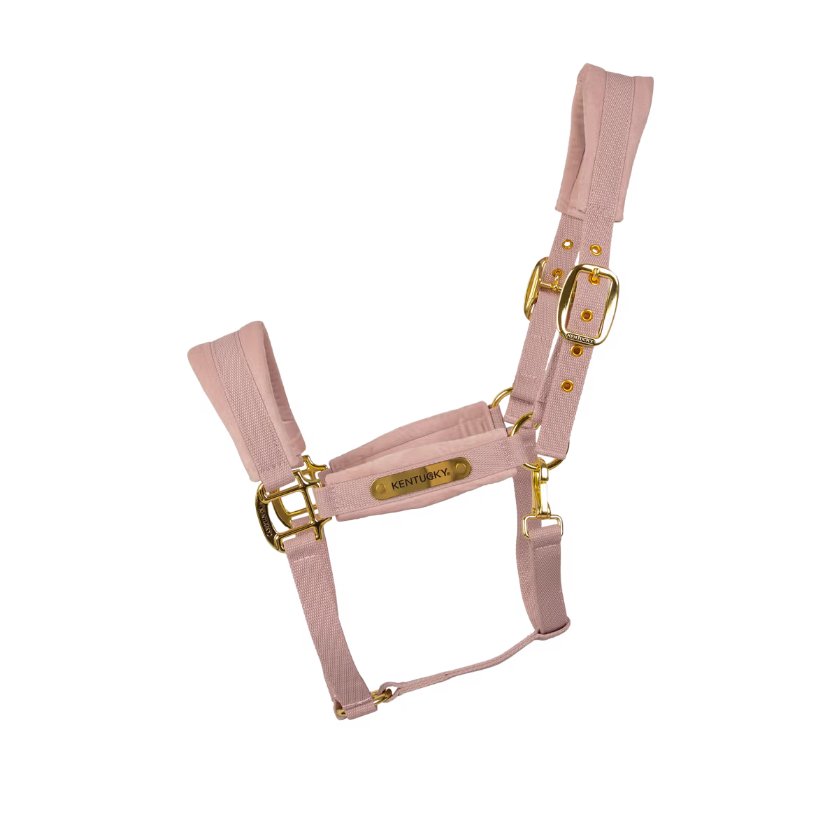 Capezza in velluto rosa cipria Kentucky