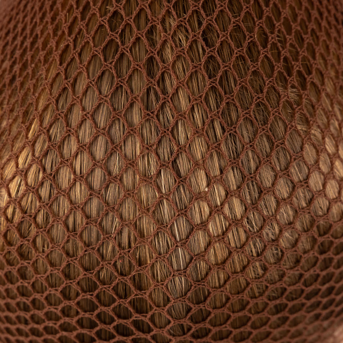 Retina per capelli (2 pezzi) Kentucky