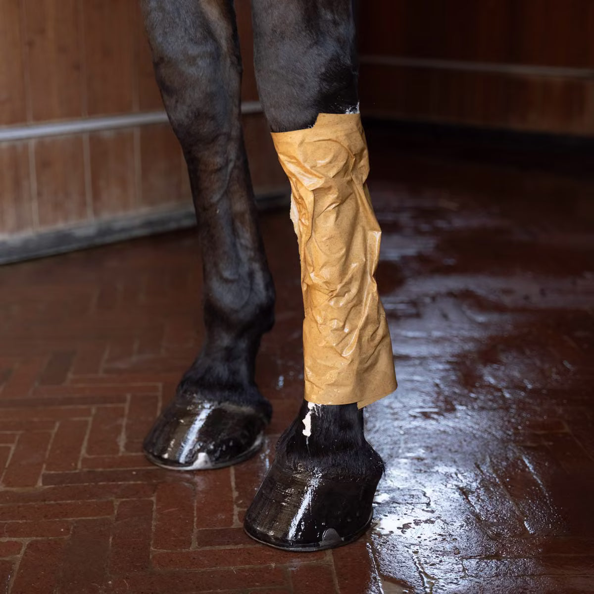 Horse Leg Clay Paper in rotolo da 20 m