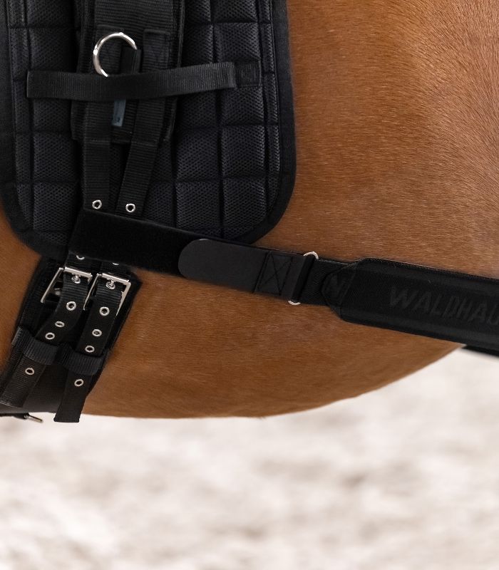 Fascione elastico per il corpo del cavallo Waldhausen