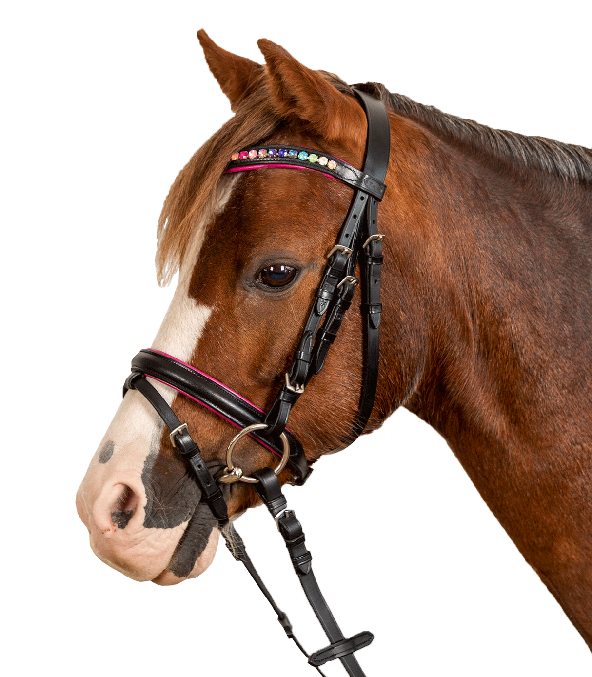 Testiera STAR Pinky Waldhausen