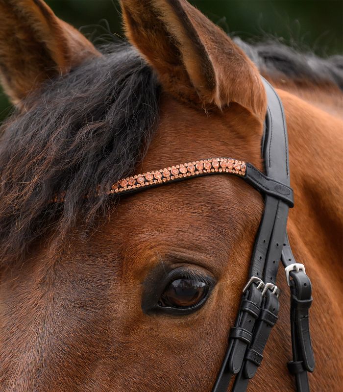 Frontalino STAR glitter Waldhausen