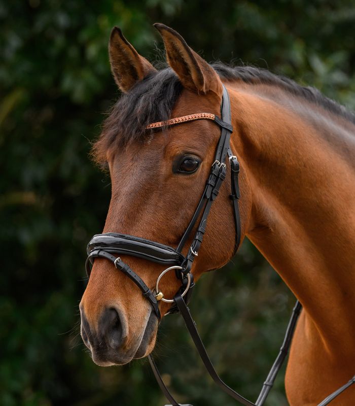 Frontalino STAR glitter Waldhausen