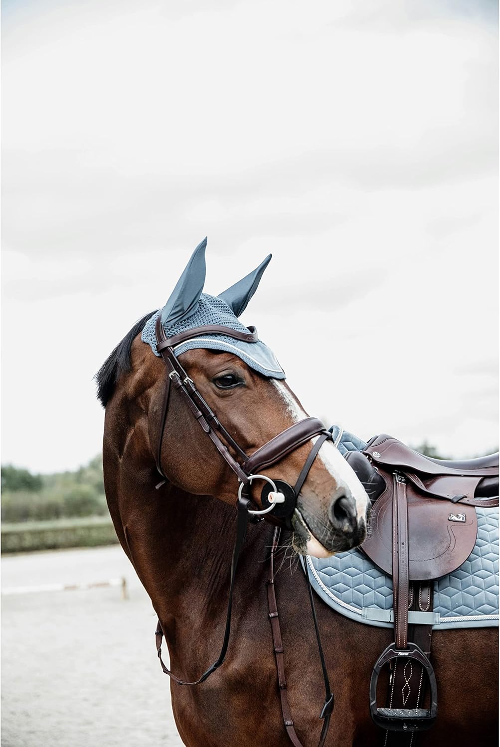 Cuffietta Wellington Velvet celeste Kentucky