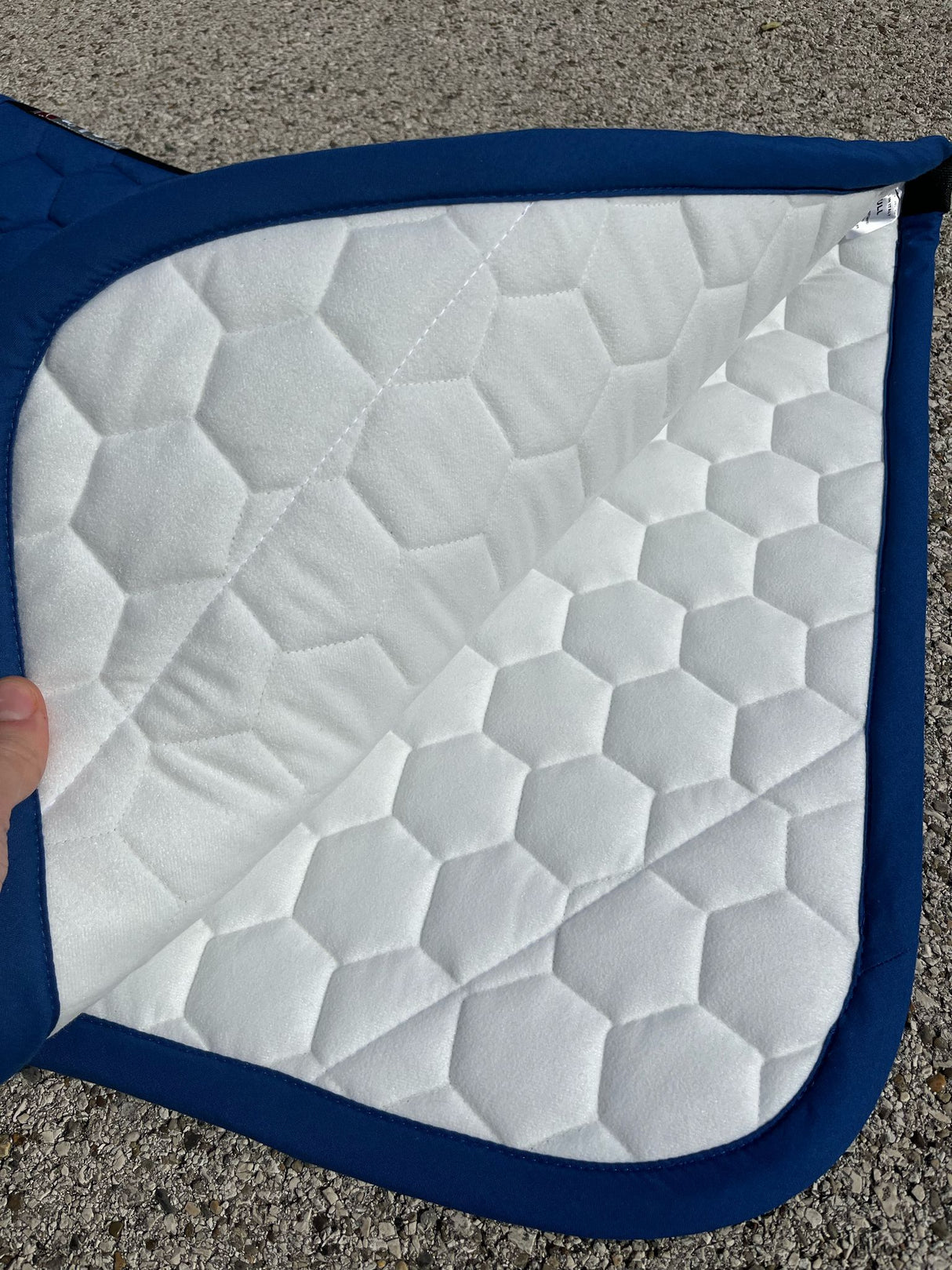 Sottosella da salto modello Walapai e cuffia lunga modello Calonga Animo blu royal