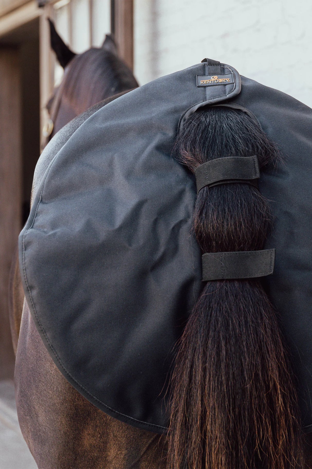 Protezione per coda Kentucky