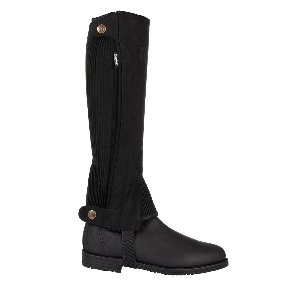 Ghette Umbria scamosciate