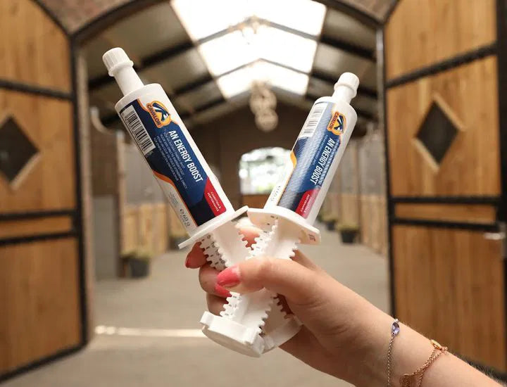 An energy boost siringa 60g Cavalor