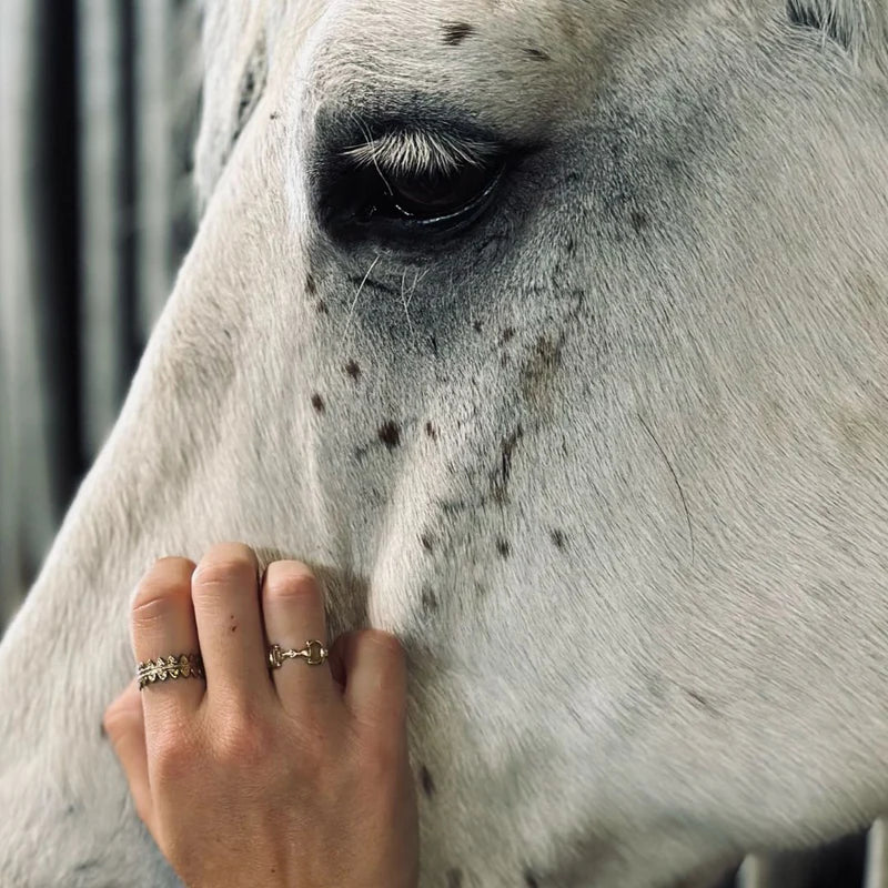 Maya anello in acciaio inossidabile Equestrian shop