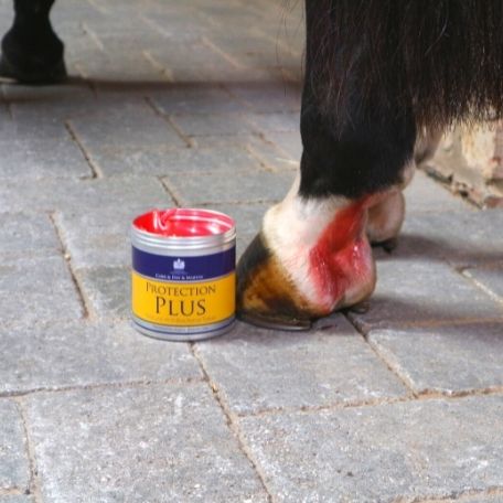 Crema Antibatterica Protection Plus Carr&Day&Martin