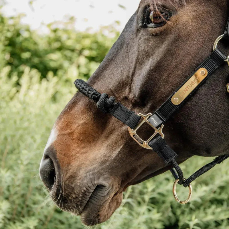 Capezza in corda modello Control Kentucky