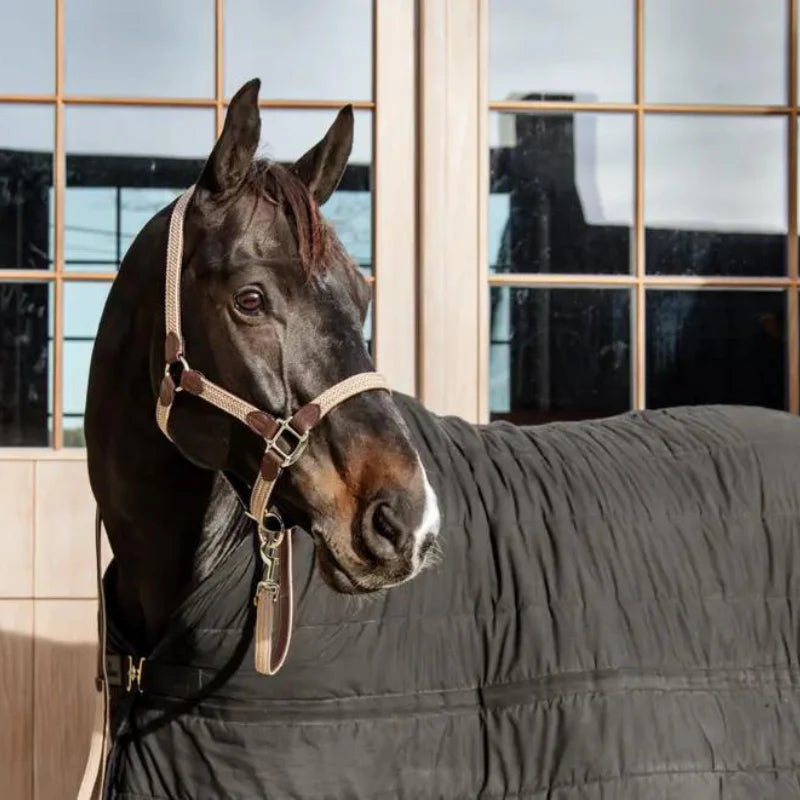 Cavezza modello Plaited Nylon beige Kentucky Cob