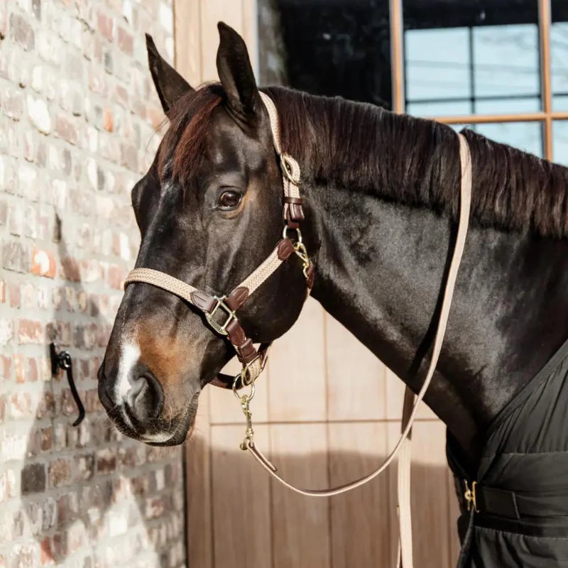 Cavezza modello Plaited Nylon beige Kentucky Cob