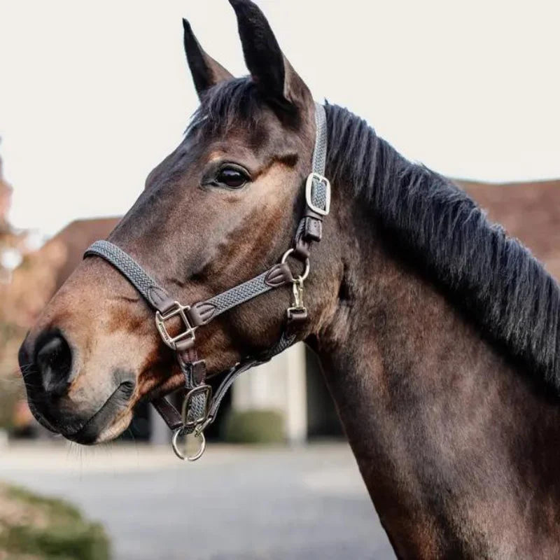 Cavezza modello Plaited Nylon grigia Kentucky Full