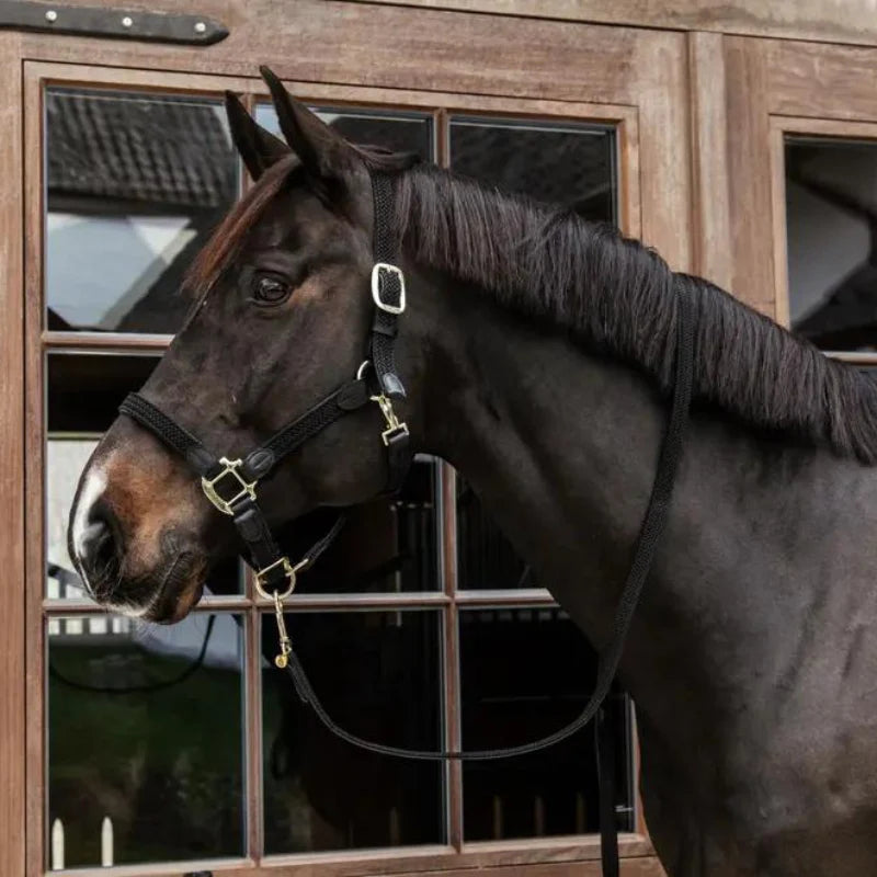 Cavezza modello Plaited Nylon nero Kentucky Full