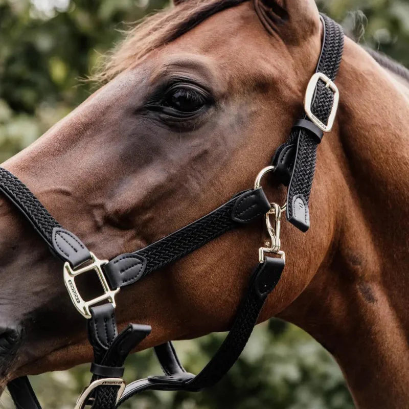 Cavezza modello Plaited Nylon nero Kentucky Full