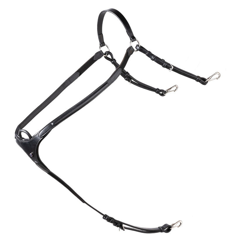 Pettorale a ponte Trust nero Bruxelles