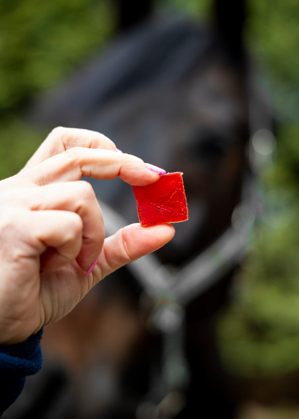 Caramelle gommose alla ciliegia e cardamomo Candy Horse