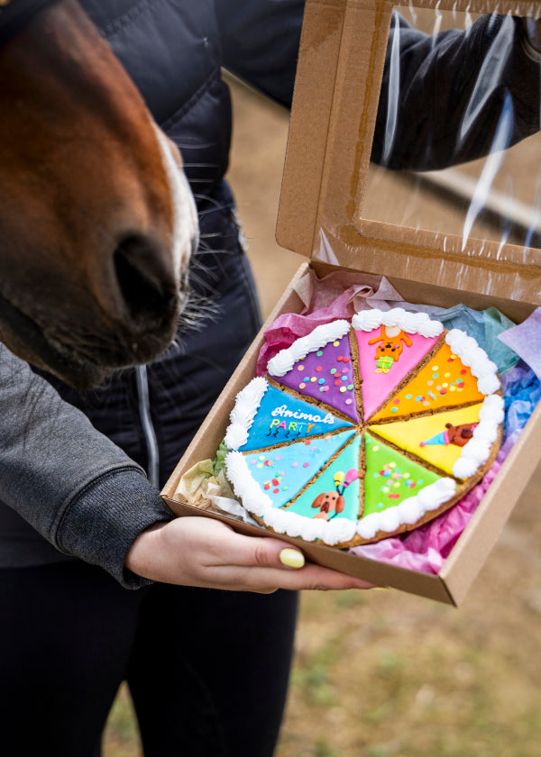 Torta biscotto per cavallo edizione limitata Candy Horse