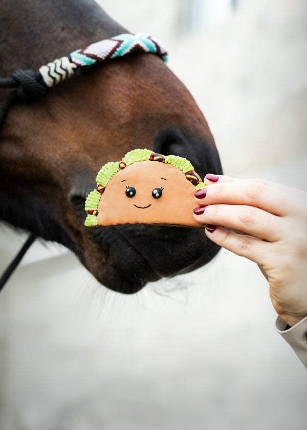 Biscotto Kawaii Taco | Biscotto per cavallo glassato in edizione limitata Candy Horse