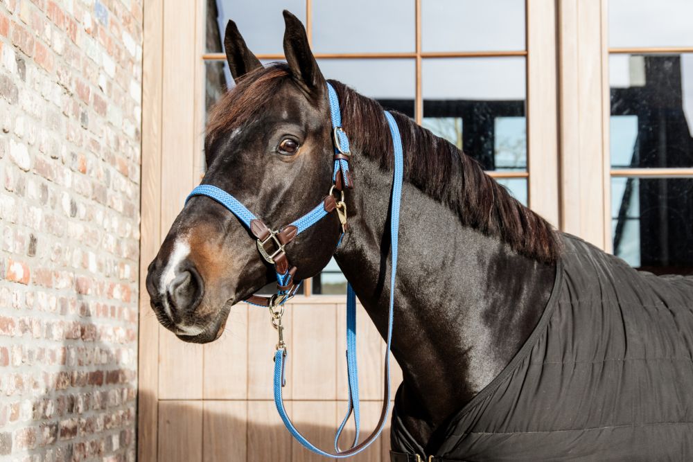 Cavezza modello Plaited Nylon light blue Kentucky Cob