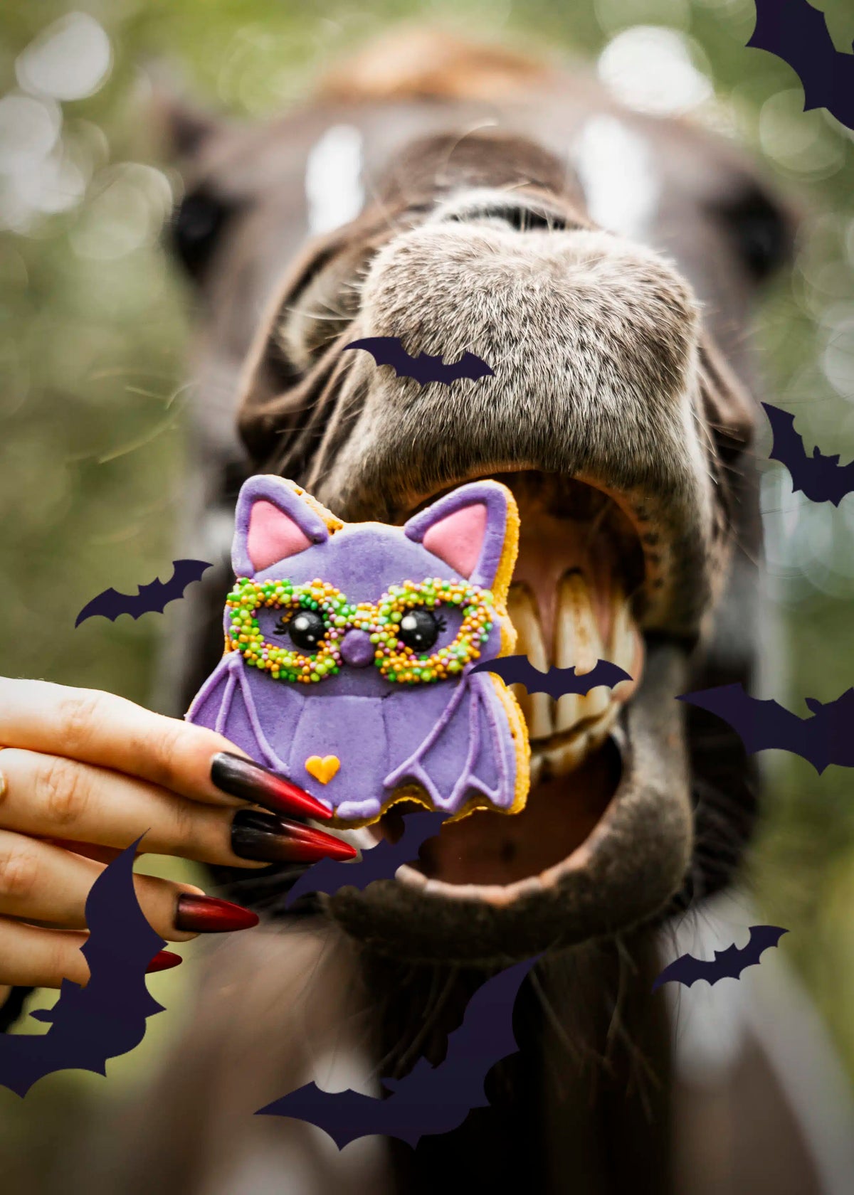 Biscotto edizione limitata Halloween PIPISTRELLO Candy Horse