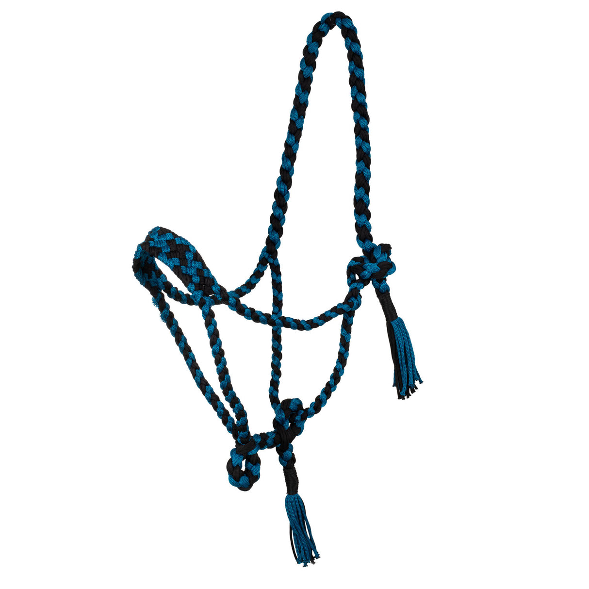 Cavezza in nylon intrecciato Pool's