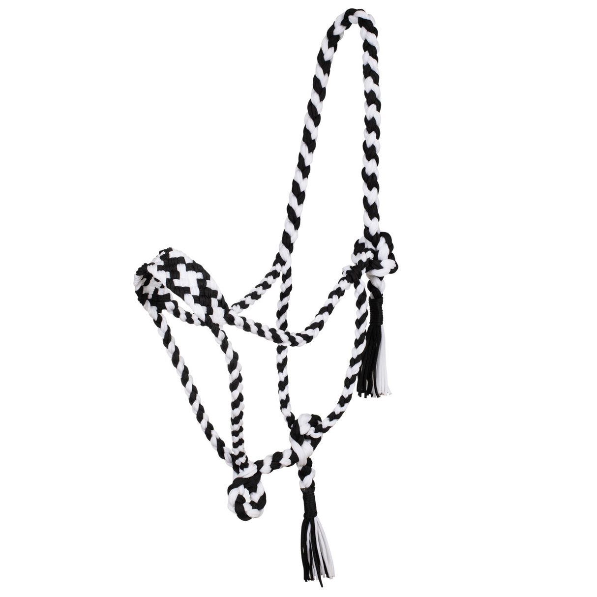 Cavezza in nylon intrecciato Pool's