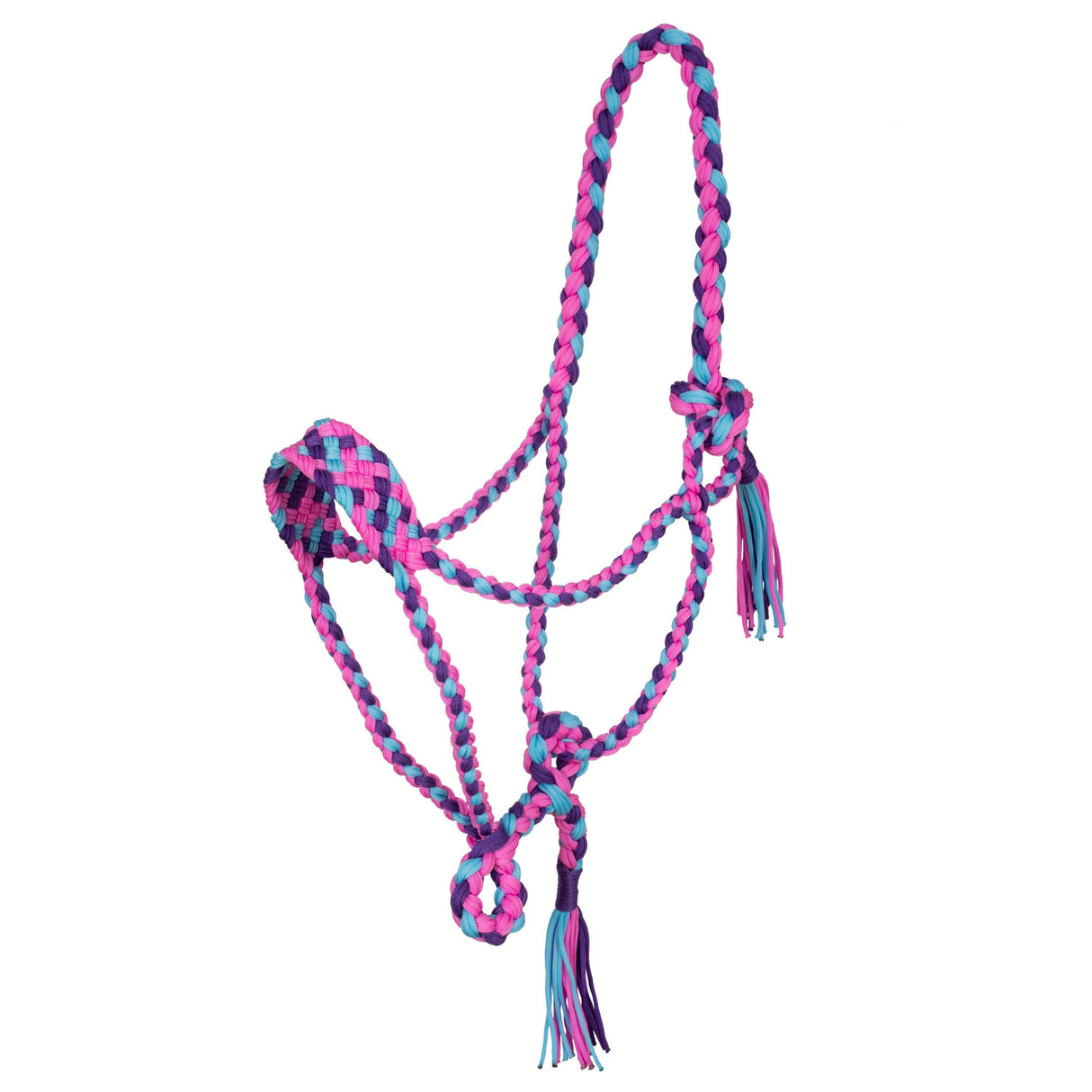 Cavezza in nylon intrecciato Pool's