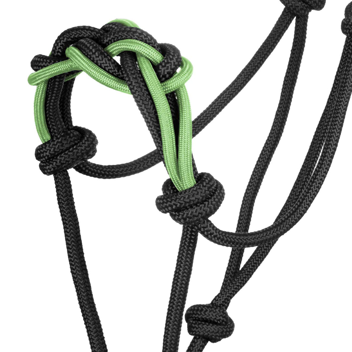 Cavezza con corda intrecciata sulla nasalina