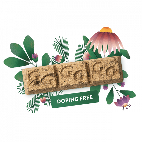 Equibar Respirity 2kg Gianni Guidolin