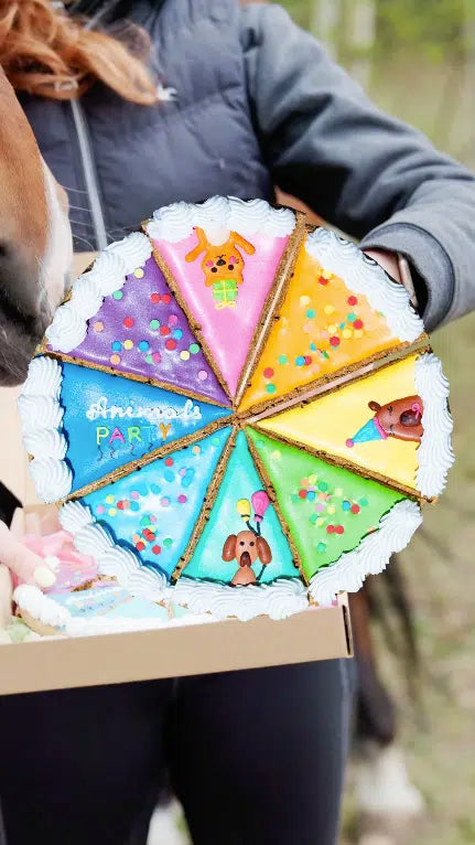 Torta biscotto per cavallo edizione limitata Candy Horse