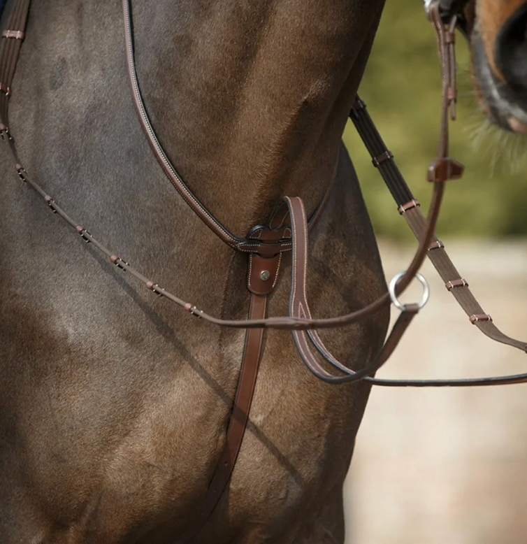 Martingala ad anello Antares marrone