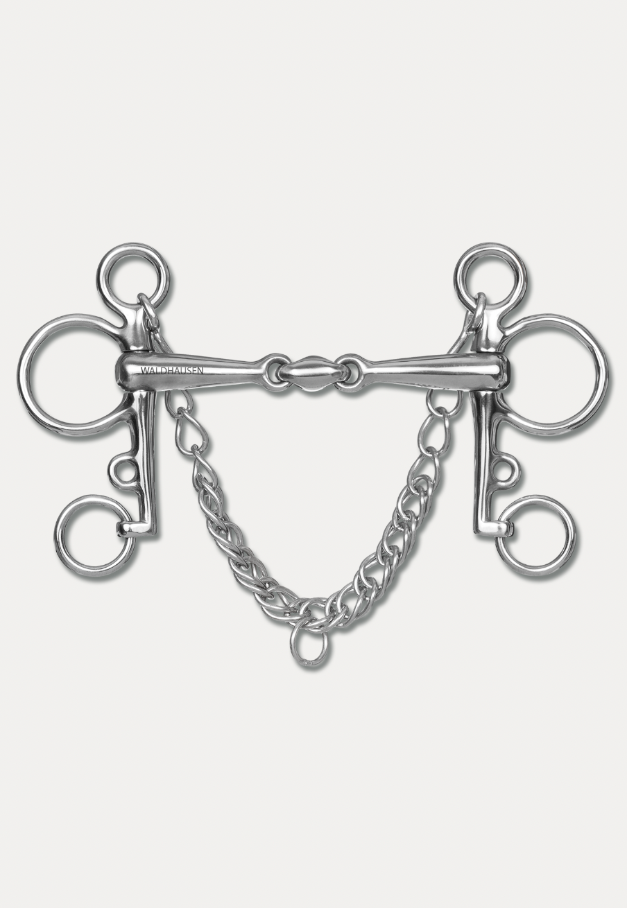 Pelham con snodo doppio, pieno Waldhausen