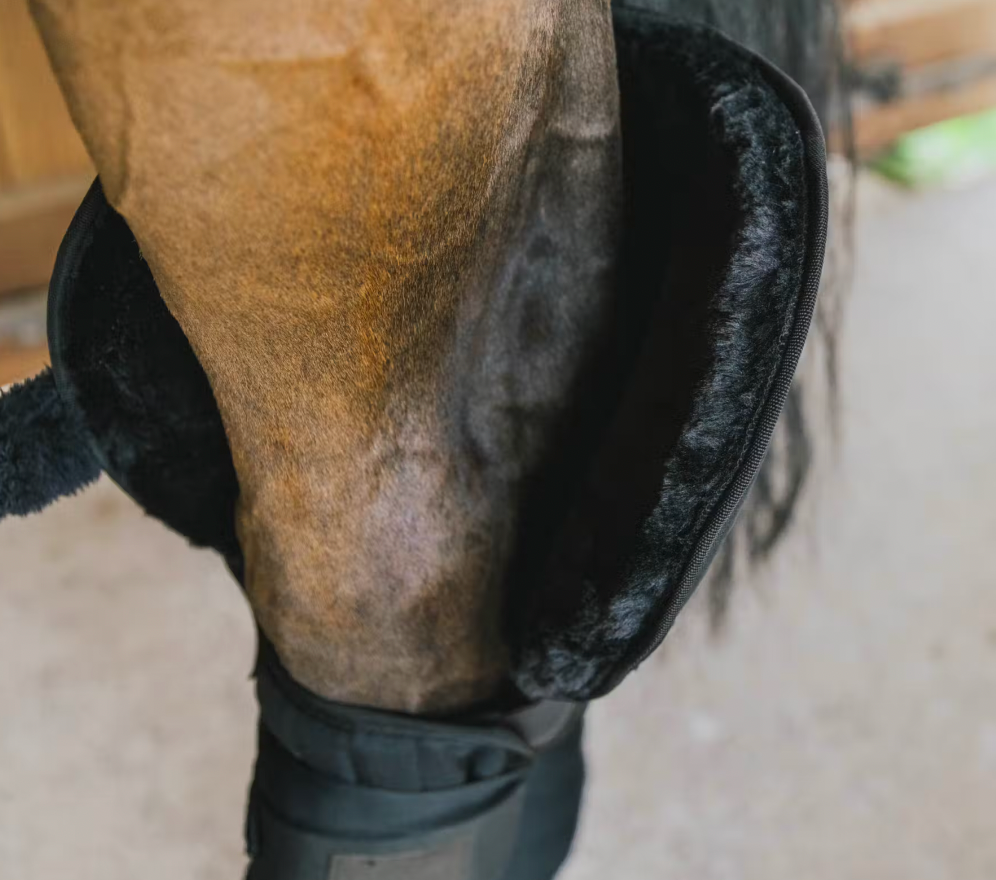 Sottofasce con protezioni per garretto incorporato