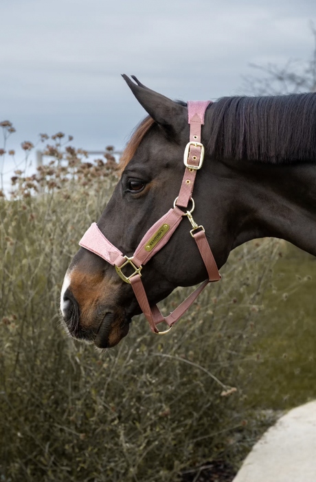 Velvet Halter Unicorn Glitter
