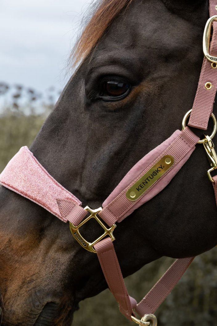 Velvet Halter Unicorn Glitter