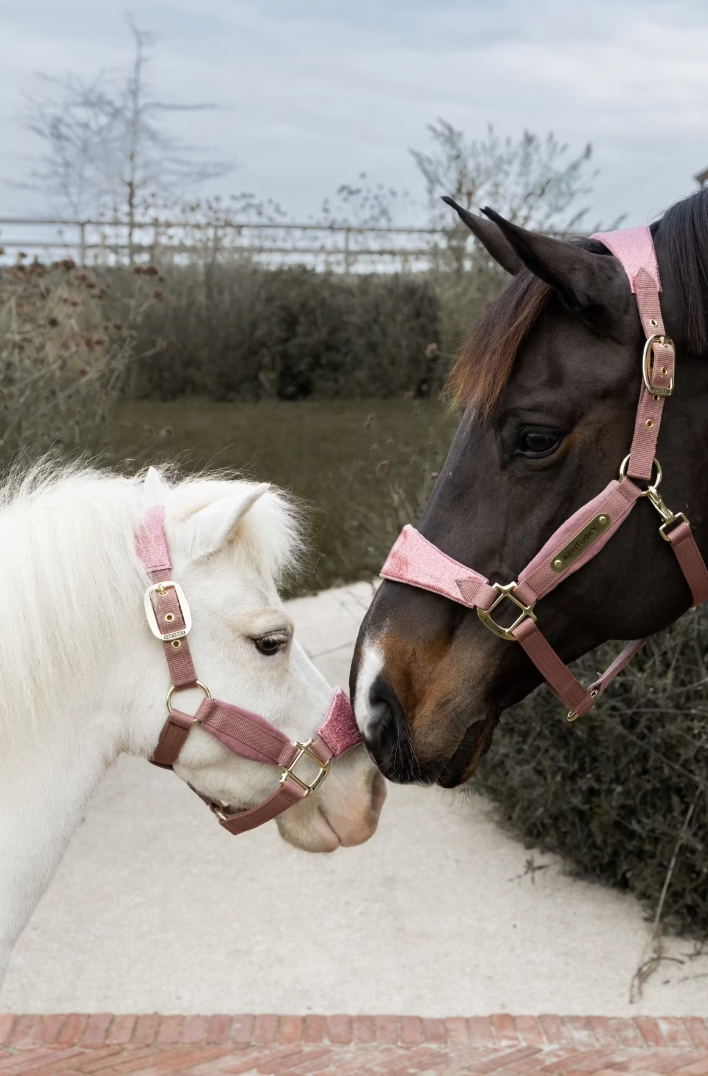 Velvet Halter Unicorn Glitter