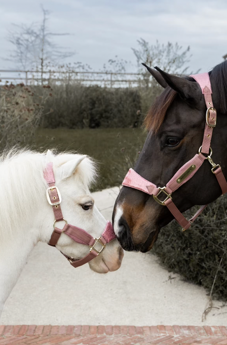 Velvet Halter Unicorn Glitter