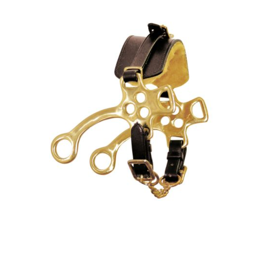 HACKAMORE ottone C/NASALINA CUOIO