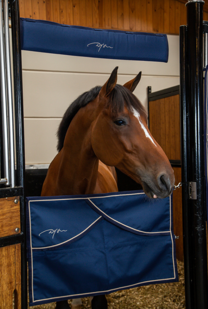 Protezione per la testa da box Dy'On