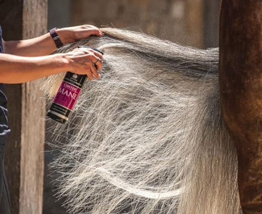 Sgrovigliante Mane & Tail Carr&Day&Martin 500ml